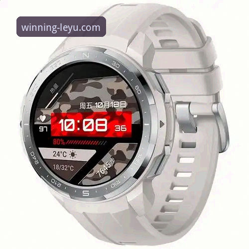 乐鱼体育平台安全稳定使用指南：从官方入口到流畅体验的完整解析