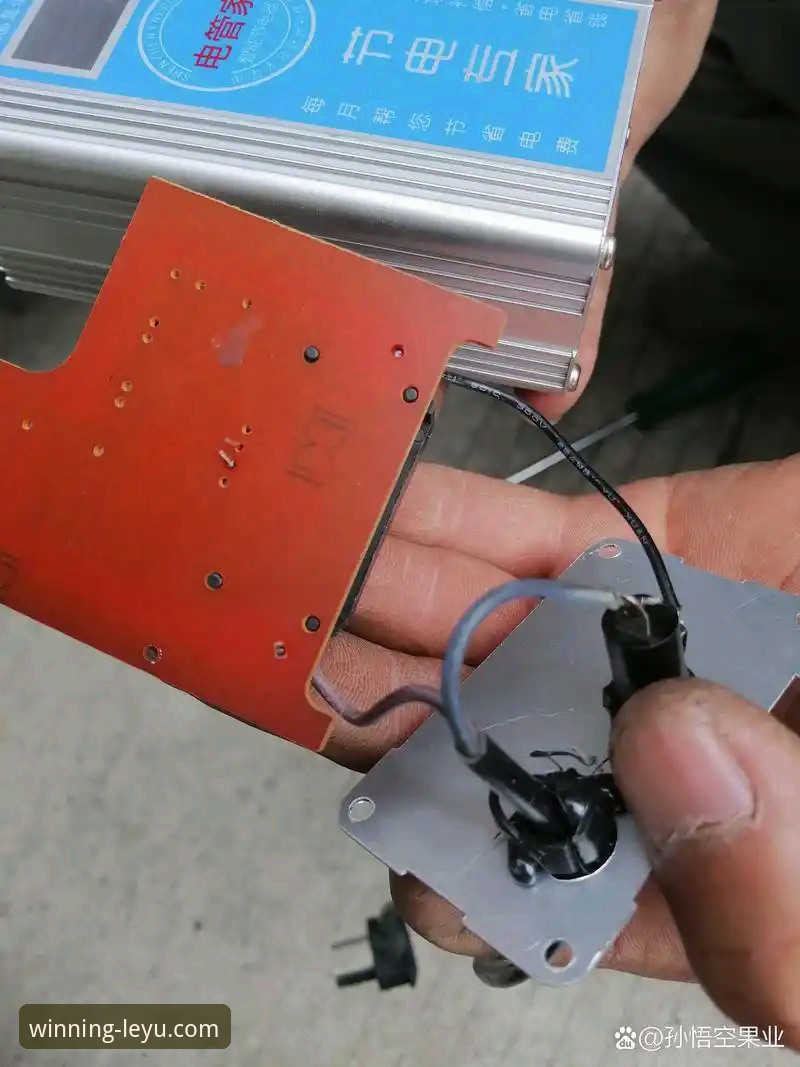 乐鱼体育平台安全稳定 乐鱼体育平台安全稳定背后的真相:一个实战派用户的深度拆解